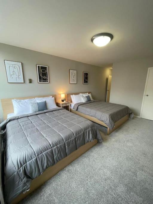 Charming Apartment At Crystal City With Amazing Amenities Arlington Buitenkant foto