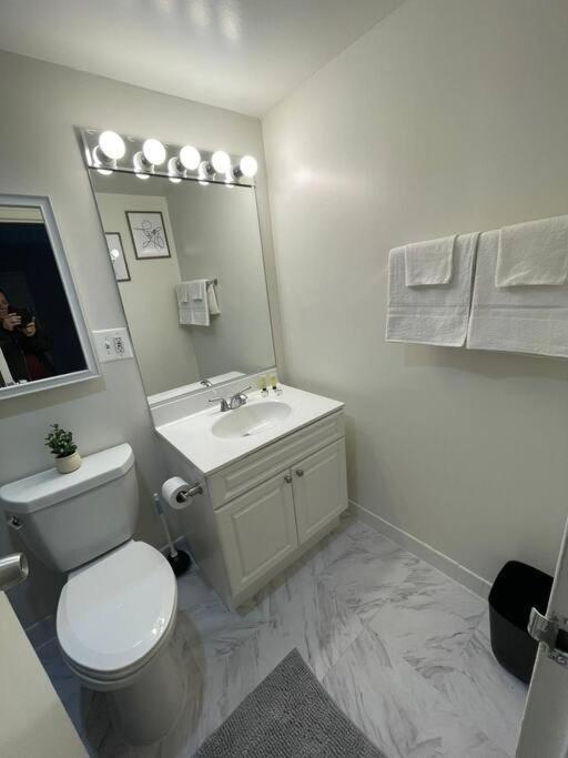 Charming Apartment At Crystal City With Amazing Amenities Arlington Buitenkant foto